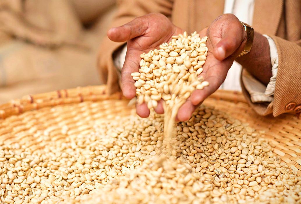 Sidama coffee
